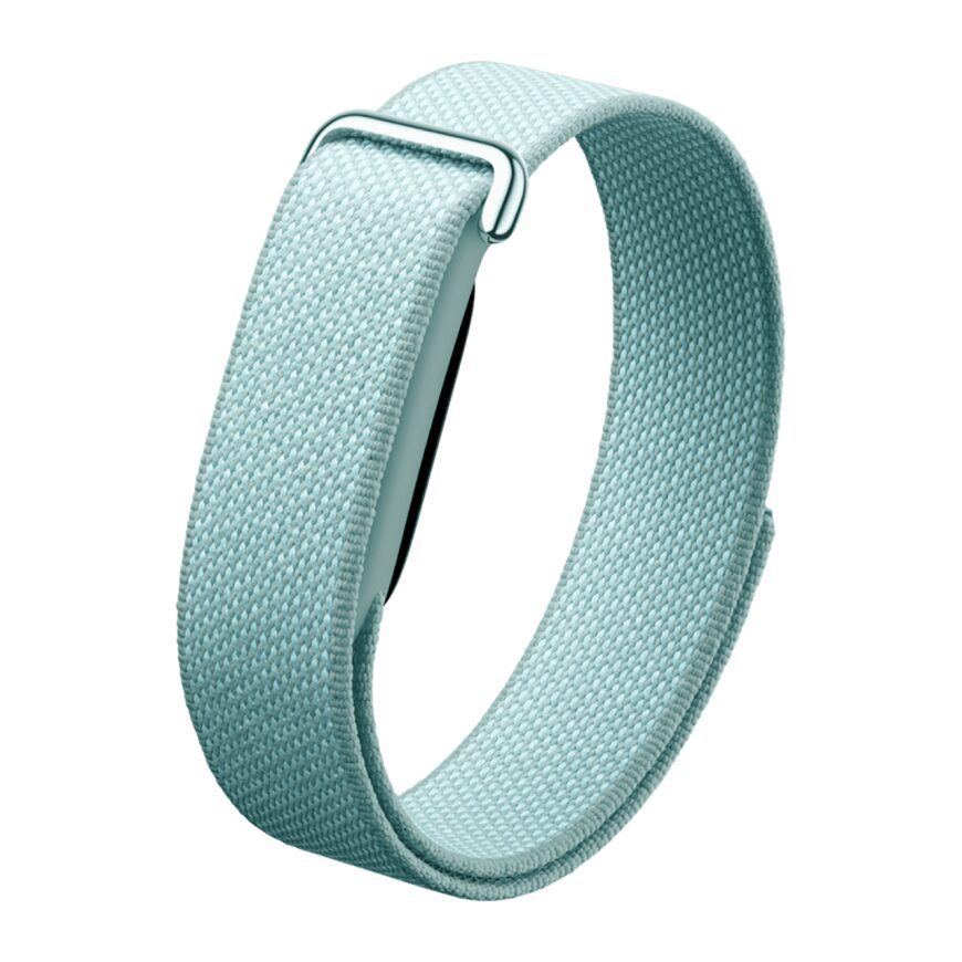 Google Fitbit Air Fog