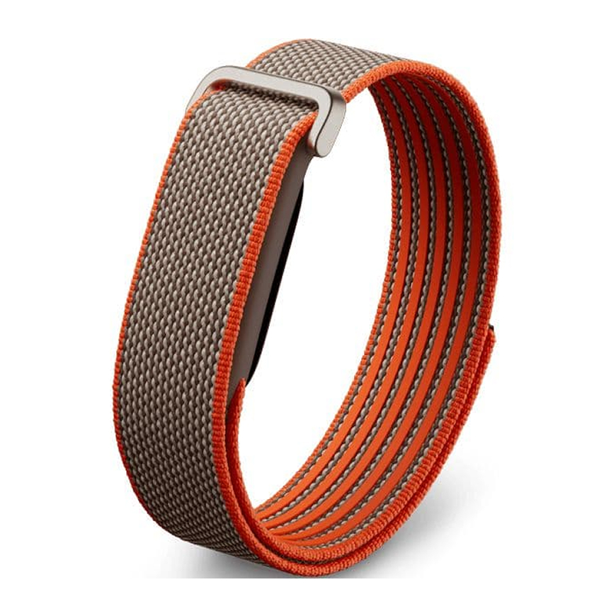 Google Fitbit Air Rye