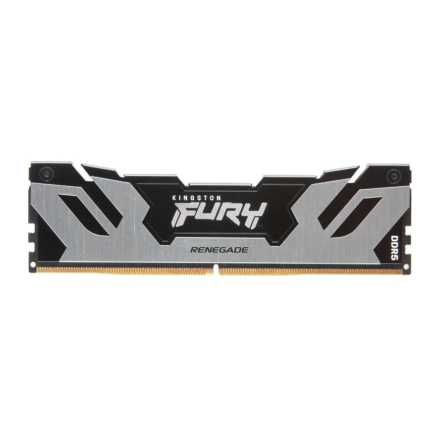 Kingston Fury Renegade Silver DDR5-6400