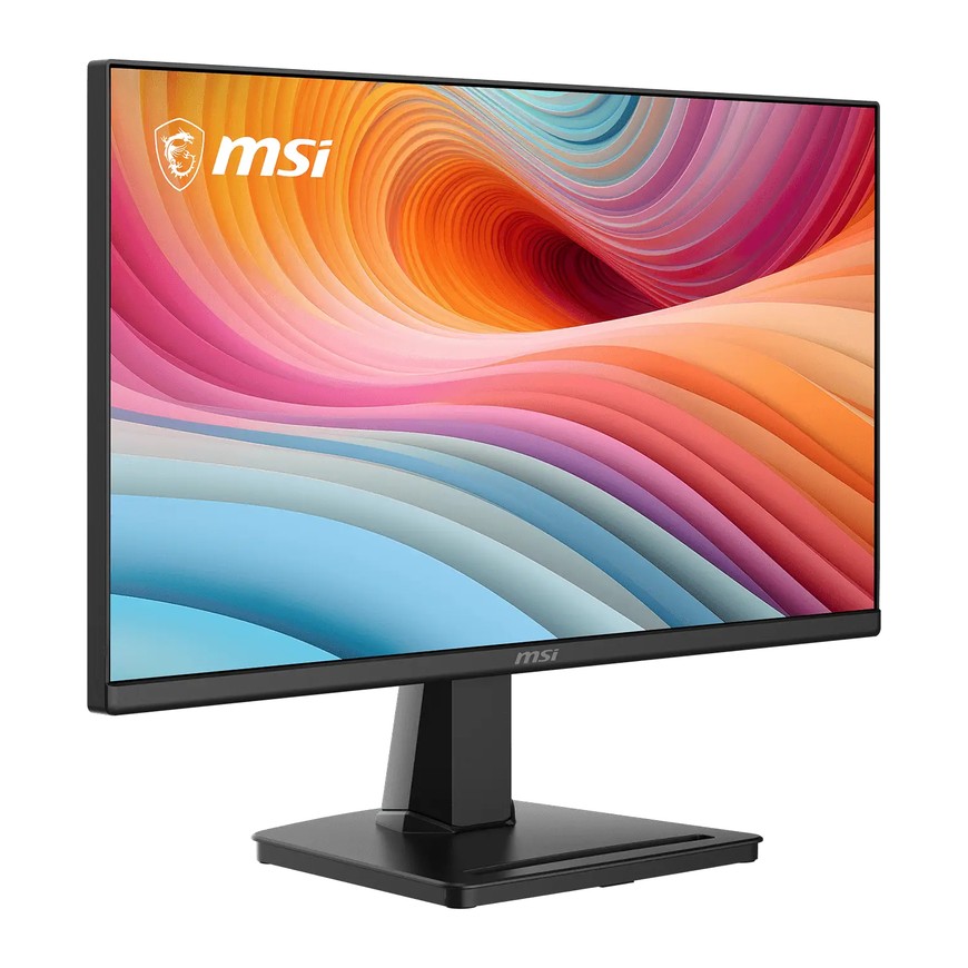 MSI PRO MP225 E12L