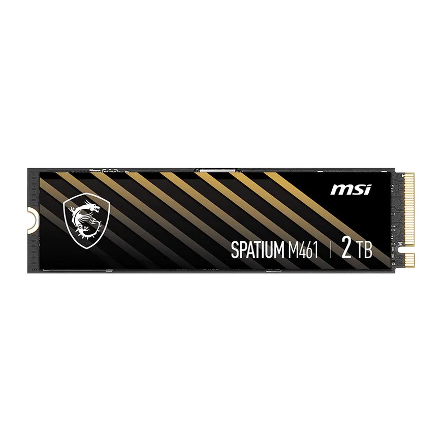 MSI Spatium M461