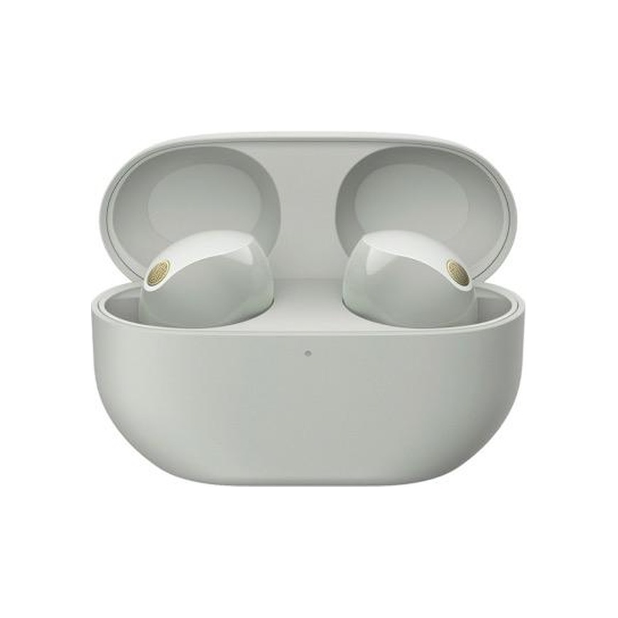 Наушники Sony WF-1000XM5 Platinum Silver